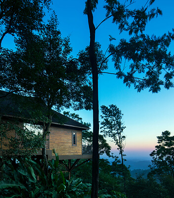 The Tamara Coorg